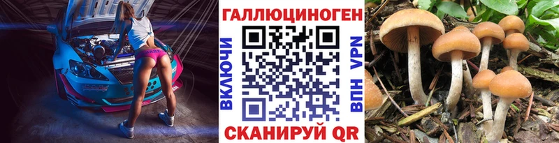 Псилоцибиновые грибы MAGIC MUSHROOMS  даркнет сайт  Устюжна 